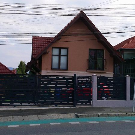 Haffner Studio Cluj-Napoca Esterno foto